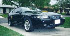 2001 Custom GT Cobra R clone No Description